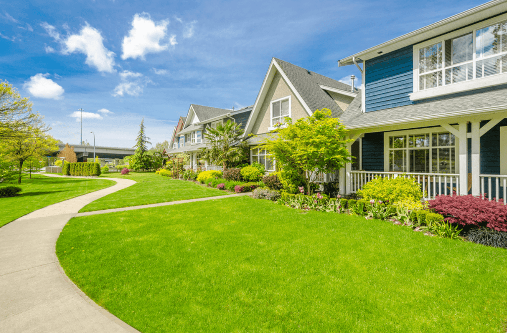 How to Mow Lawn And Save Wildlife: Eco-Friendly Tips to Thrive
