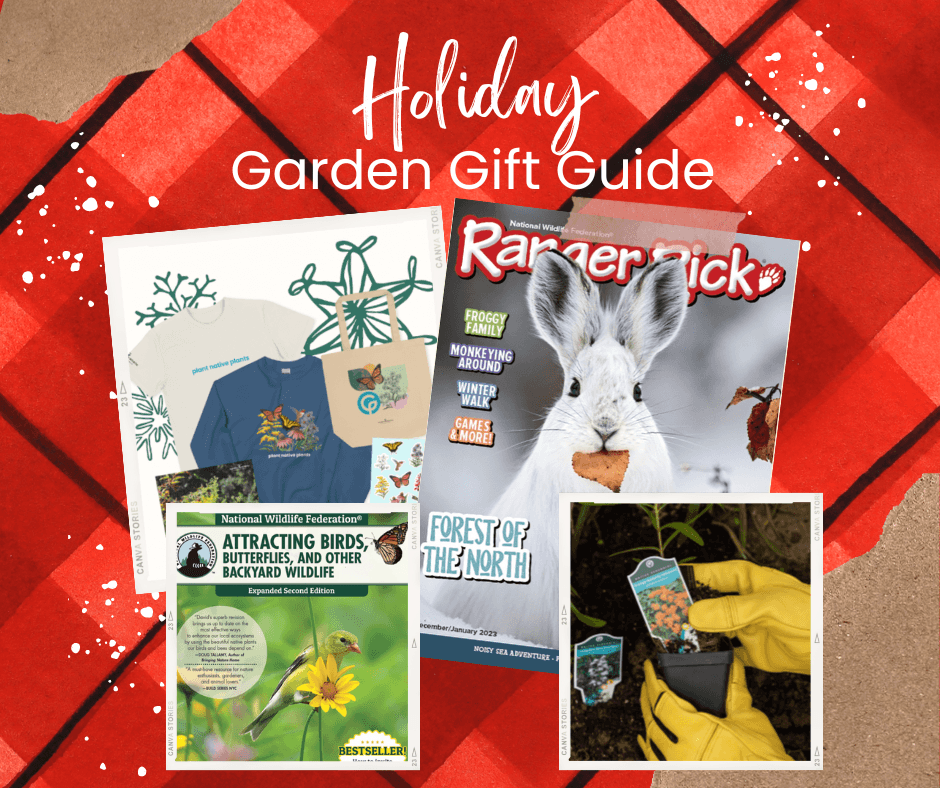 Holiday Garden Gift Guide