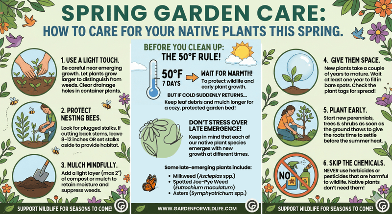 How to care for your native plants this spring