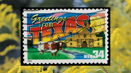 The Eastern Texas Gardening Guide