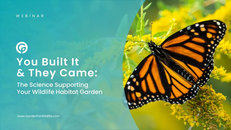 You Built It and They Came: The Science Supporting Your Wildlife Habitat Garden (Recorded Webinar) - Garden for Wildlife