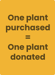 One plant purchased = One plant donated
