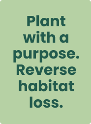 Plant with a purpose. Reverse habitat loss.
