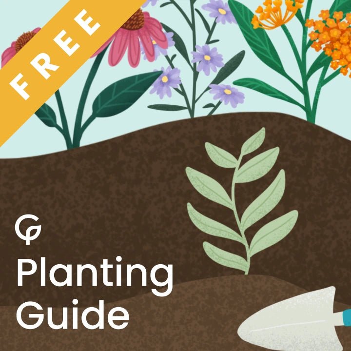 Free Planting Guide - Butterfly Buffet 3-Shrub Collection Plant Tips - Garden for Wildlife