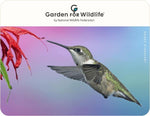 Garden For Wildlife Gift Card Gift Cards - Garden for Wildlife