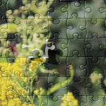 Garden for Wildlife Jigsaw Puzzle - Monarch Butterfly on Goldenrod Merch - Garden for Wildlife